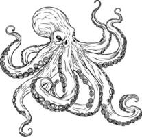 Octopus Realistic Animal Vector Illustration Coloring Page