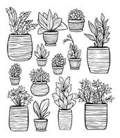 hand drawn flower house plant coloring book illustration vector