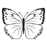 Vector Butterfly Black Silhouette Isolated on White Background. Decorative Insect Illustration