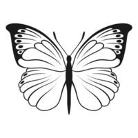 Vector Butterfly Black Silhouette Isolated on White Background. Decorative Insect Illustration