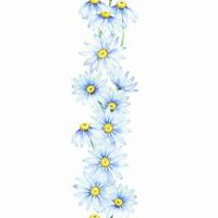 Floral daisy border, watercolor illustration. White daisy. Floral botanical flower. Frame border ornament vector