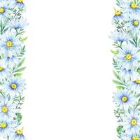 Floral daisy border, watercolor illustration. White daisy. Floral botanical flower. Frame border ornament vector