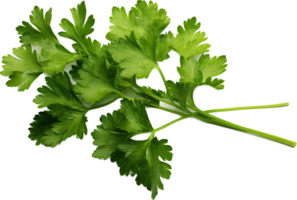 Parsley png with AI generated.