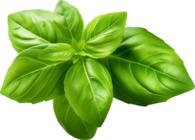 Basil png with AI generated.