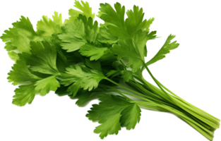 Parsley png with AI generated.