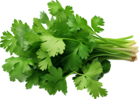 Coriander png with AI generated.