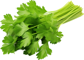 Coriander png with AI generated.