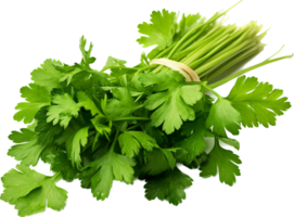 Coriander png with AI generated.