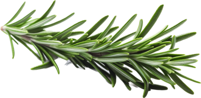 Rosemary png with AI generated.