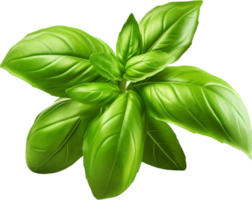 Basil png with AI generated.
