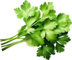 Coriander png with AI generated.