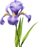 Iris png with AI generated.