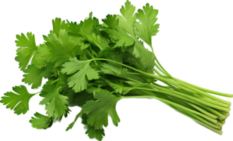 Coriander png with AI generated.