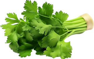 Coriander png with AI generated.