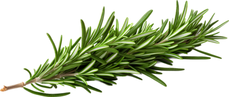 Rosemary png with AI generated.