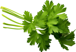 Parsley png with AI generated.