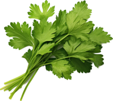 Coriander png with AI generated.