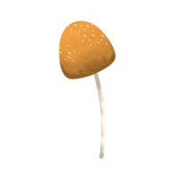 Small Yellow Mushroom png