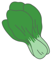 bok choy lummig grön png