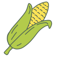 Fresh corn peeled png