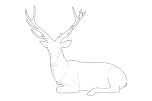 white deer sitting isolated on transparent background. animal line art outline illustration no people. png