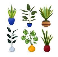 Collection of plants for decor of home and office illustration. vector