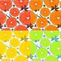 Seamless pattern with orange, lime, lemon and grapefruit vector