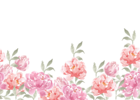 roze en rood pioen waterverf bloem naadloos achtergrond png