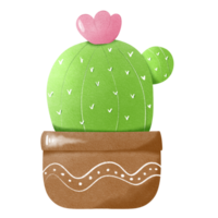 cactus plants with pink flower png