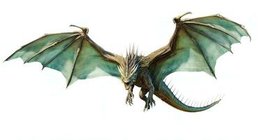 Fantasy Dragon. Ferocious monster. Vicious dragon flying in the white background. Digital illustration photo