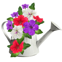 bouquet of pitunias in a watering can png