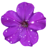 one purple pitunia flower with leaves botanical illustration png