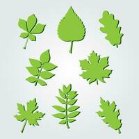 Collection of leaves design vector. Set of nature leaf design vector