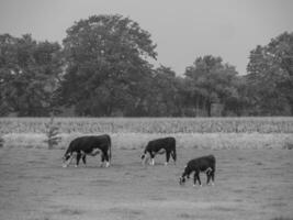 Haaksbergen in the netherlands photo