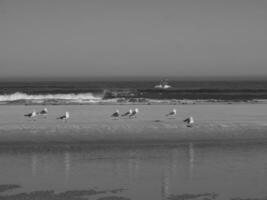 the island of Langeoog photo