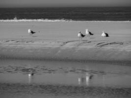 the island of Langeoog photo