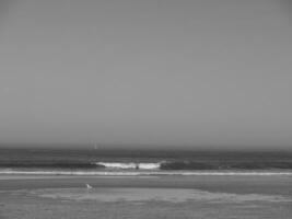 the island of Langeoog photo