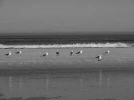 the island of Langeoog photo