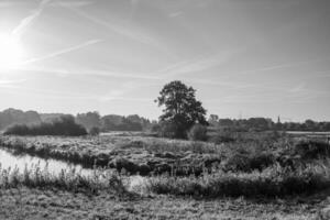 early morning at a  river in germany photo