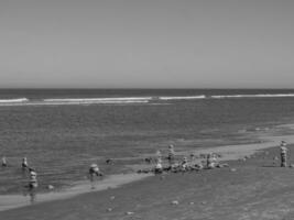 the island of Langeoog photo