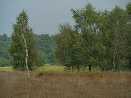 haaksbergen in the netherlands photo