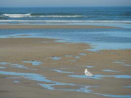 langeoog island in germany photo