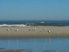 langeoog island in germany photo