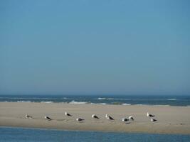 langeoog island in germany photo