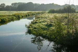 early morning at a river in westphalia photo