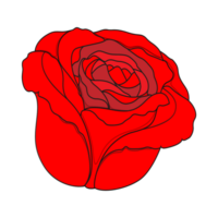 Rose png fleur gratuit Télécharger