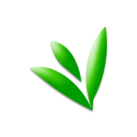 Three Leaves Leaf Logo Background png