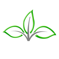 vert feuille Contexte png