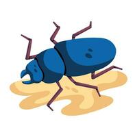 Trendy Sand Beetle vector