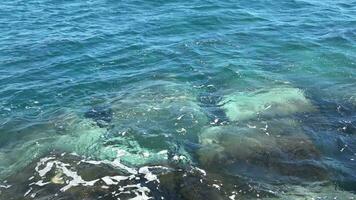 superficies de agua con olas y ondulaciones y la luz del sol reflejada en la superficie. video